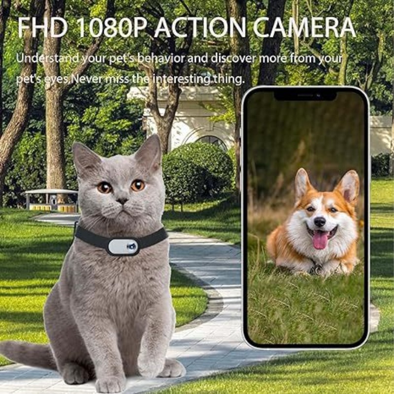Caméra à collier pour animaux  - Outdoor Adventure Videos avis et prix